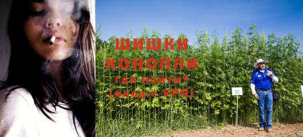 альфа пвп Няндома