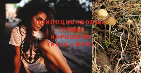 альфа пвп Няндома