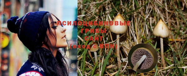 альфа пвп Няндома