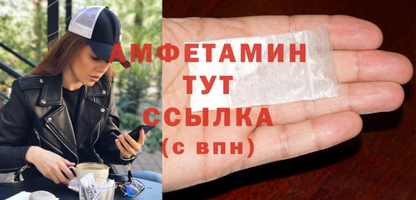 прущие грибы Осташков