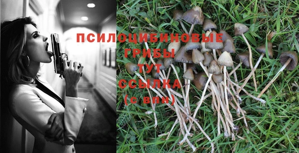 альфа пвп Няндома