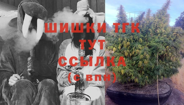 винт Нягань